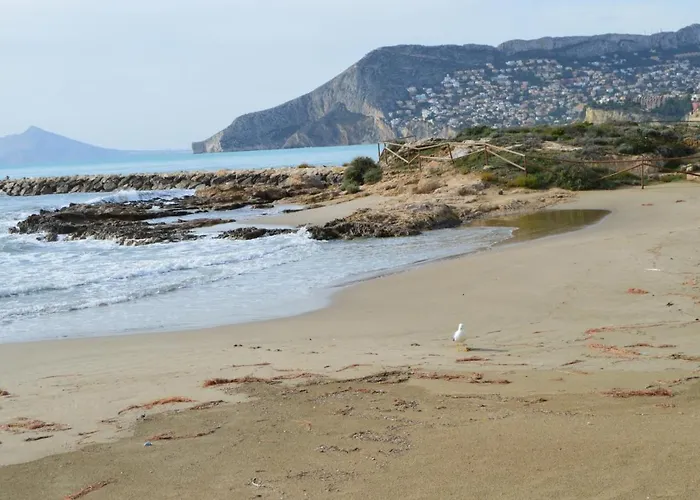 Rubino - Inmodream Calpe